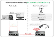 STL Audinate Dante AVIO