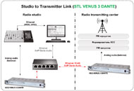 STL VENUS 3-DANTE